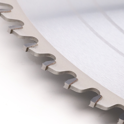 Freud Leitz Style Panel Sizing Circular TCT Saw Blade For Cutting Wood Mdf Board